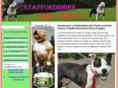 staffordshirebullterrier.org.uk