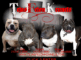 tejasfelonkennels.com