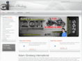 adamginsberginternational.com