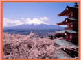 niko-niko-nihongo.com