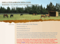 texasrainwatersystems.com