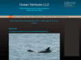 vbdolphincruises.com