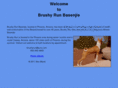 brushyrun.com