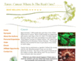 cancernovel.com