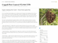 coppellpestcontrol.net