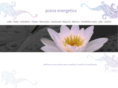 pranaenergetics.com