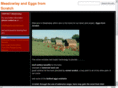 meadowlayeggs.com