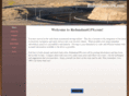 redundantgps.com