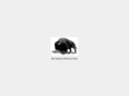 bisontechnologiesinc.com
