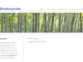 blueboystudio.com