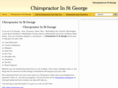 chiropractorinstgeorge.com