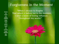 forgivenessinthemoment.com