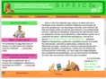 sipeice.net