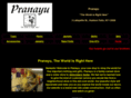 pranayu.com