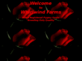 whirlwindfarms.com