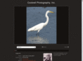 acockrellphotography.com