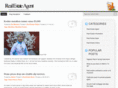 online-real-estate-agent.com