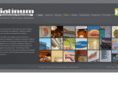 platinumconstruction.com