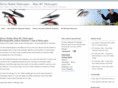 silverbullethelicopter.com