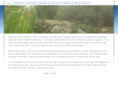 thesnailories.com