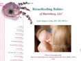 breastfeedingbabiesharrisburg.com
