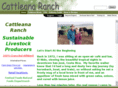 cattleanaranch.com