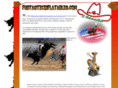 ct-mechanicalbull.com