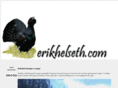 erikhelseth.com