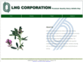 lng-corp.com