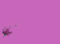 msgpersonalizedcreativeservices.com