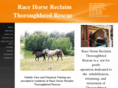 racehorsereclaim.com