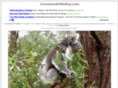 coromandelvalley.com