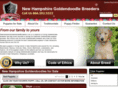 newhampshiregoldendoodlebreeders.com