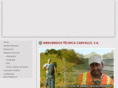 tecnicacarvallo.com