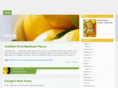 fringta.com