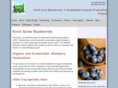 knollacresblueberries.com