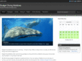 budgetdivingmaldives.com