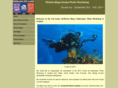 divingphotocontest.com
