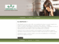 ndfasesores.com