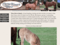 threeriversstable.com