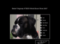 boxerkennelfanopticastate.nl