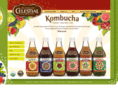 celestialkombuchatea.com