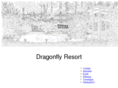 dragonflyresort.com