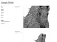 josephpfeifer.com