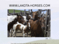 lakota-horses.com