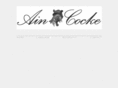 aincocke.com