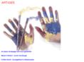 art-iges.net