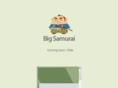 bigsamurai.com