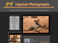 ingululephotography.com