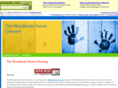 thewoodlandshousecleaningservice.com